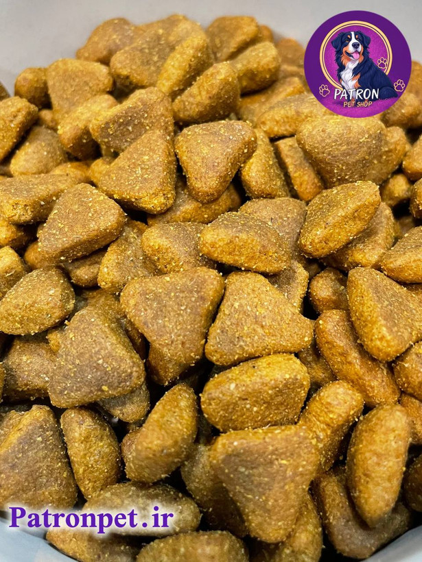 اندازه غذا
