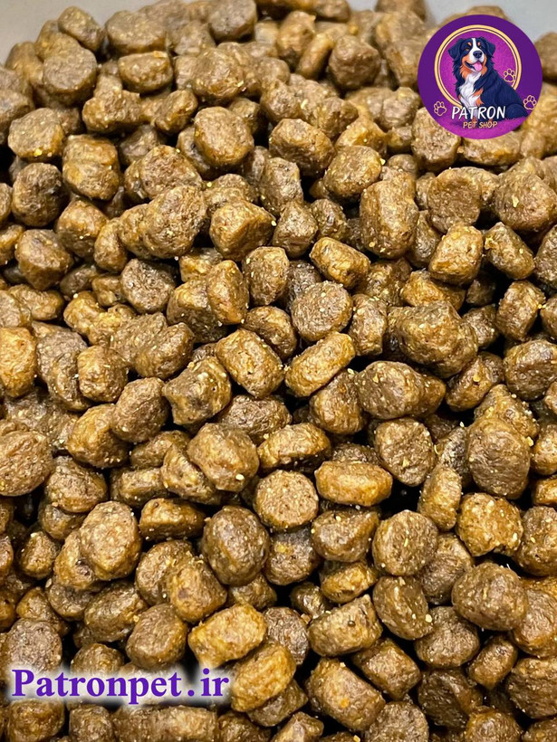 اندازه غذا