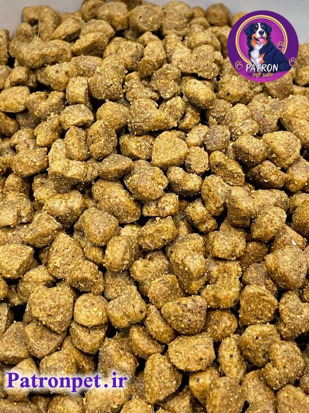 عکس اندازه غذا